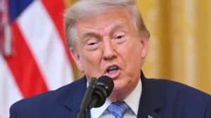 Trump tariffs could reduce NI exports to US by 15%